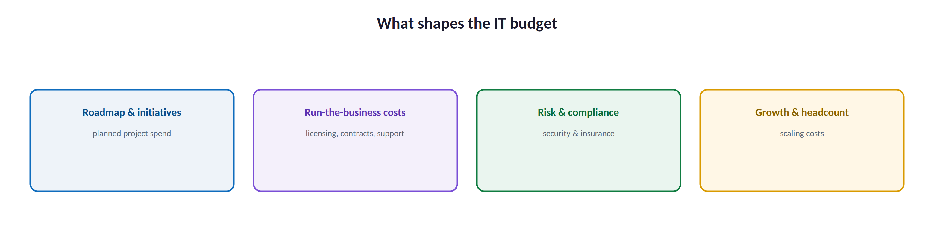 What shapes the IT budget